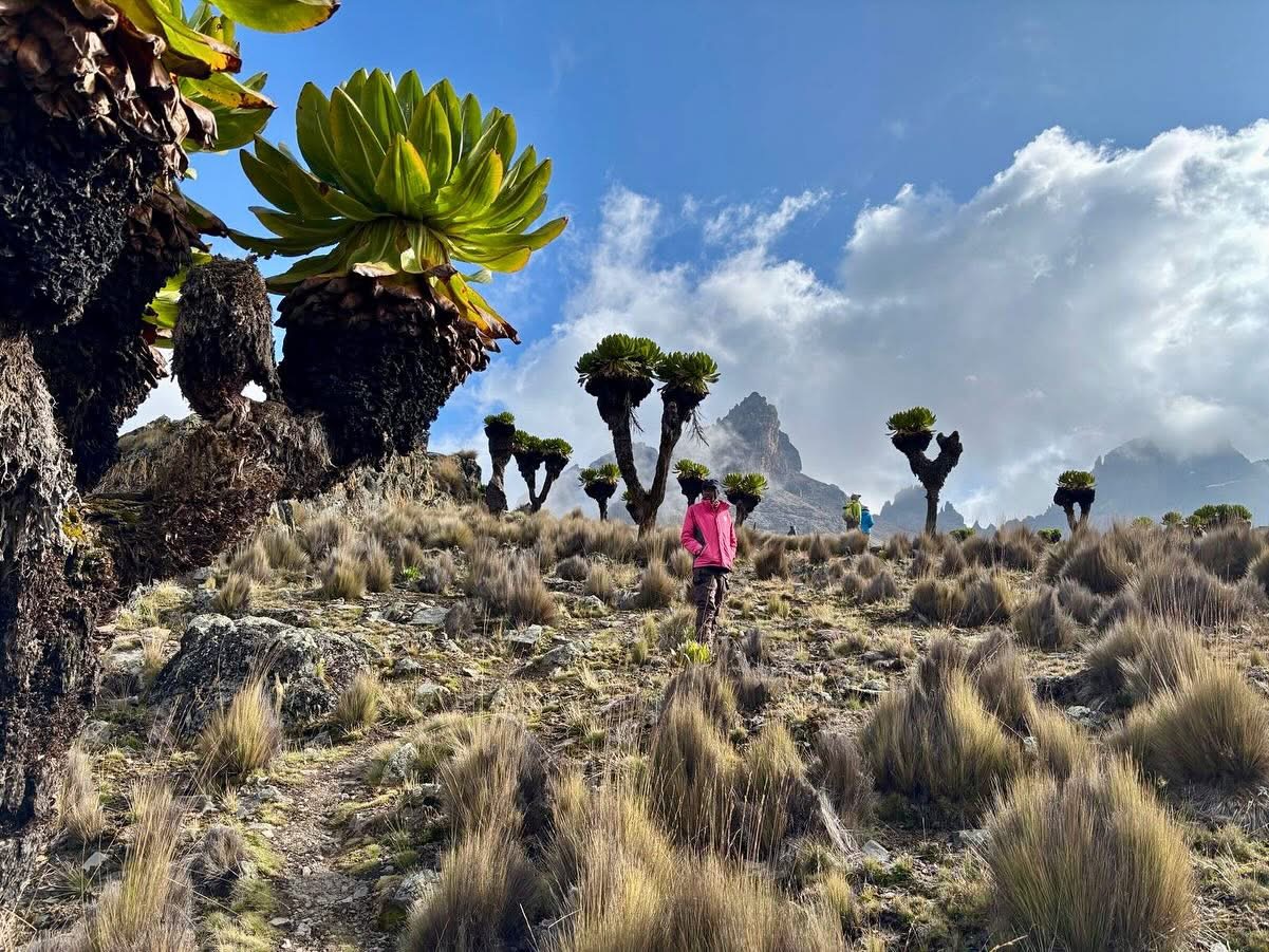 6 to 24 November 2021: Everest Trekking with João Garcia